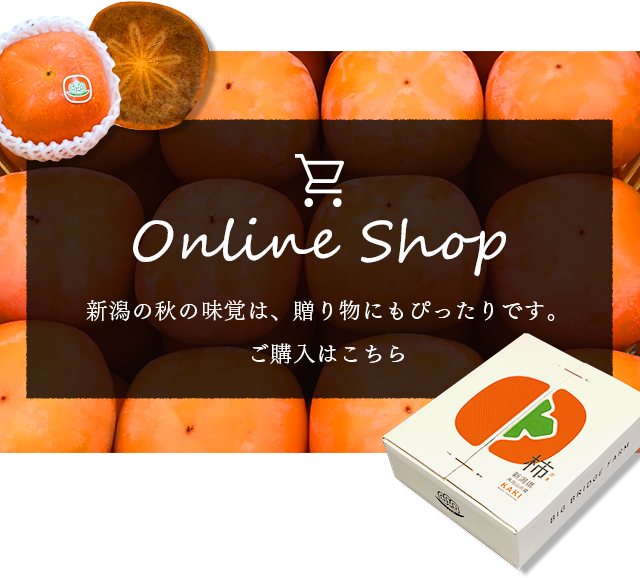 online-shop_bnr