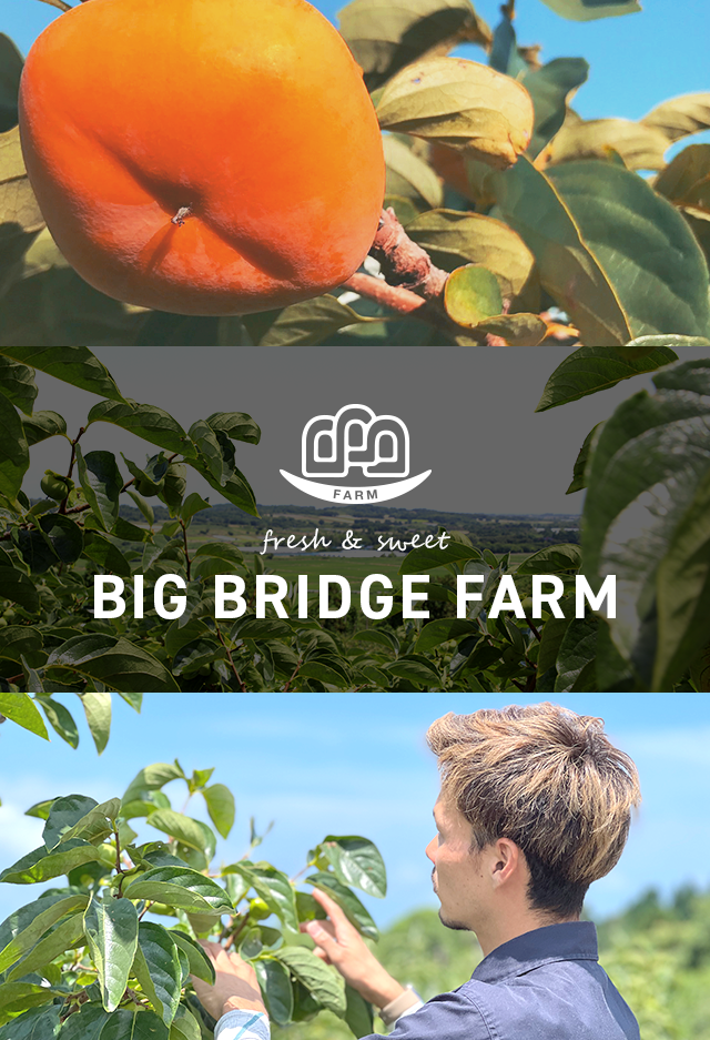 BIG BRIDGE FARM